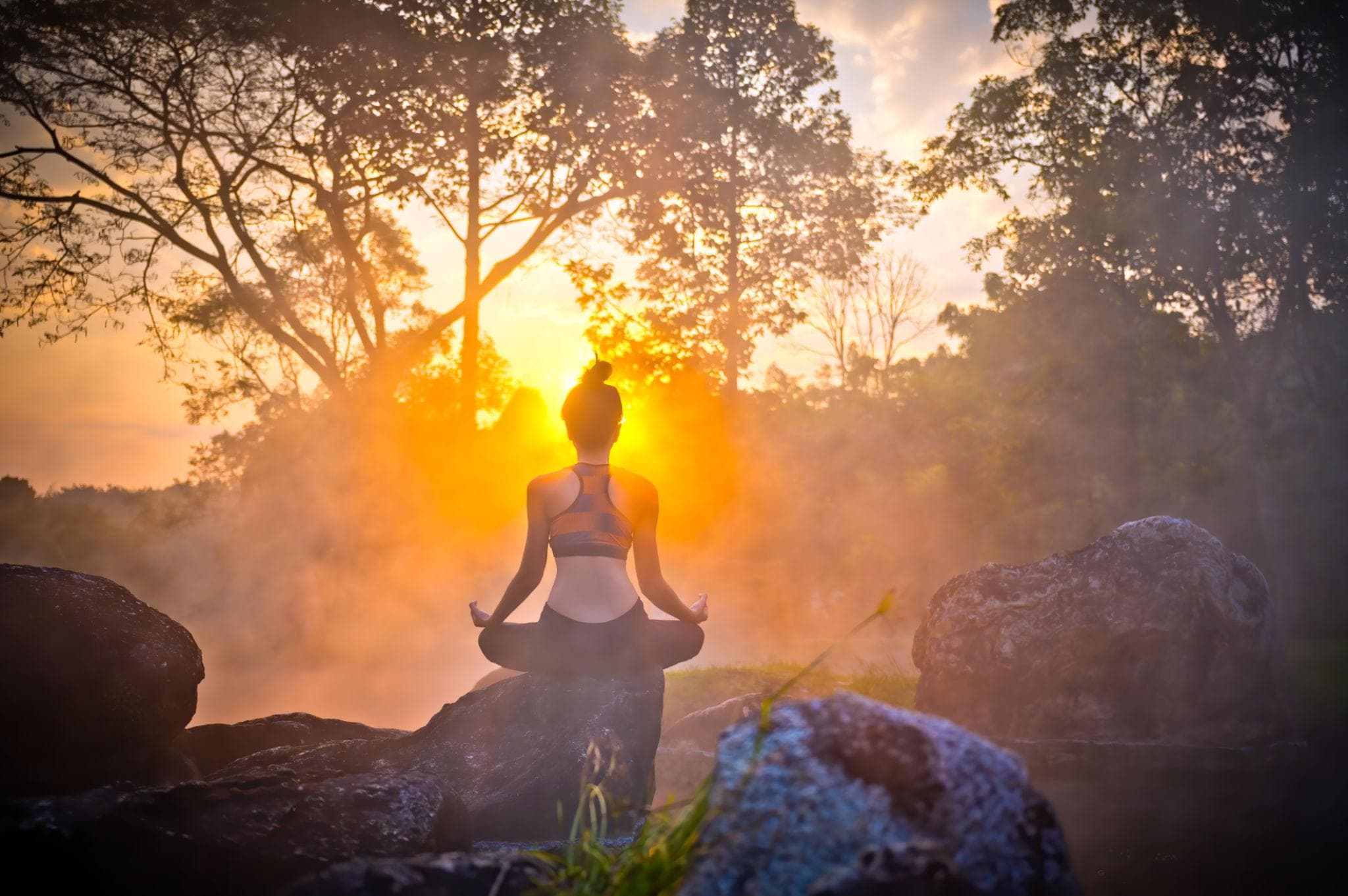 7 Simple Yoga Poses for a Healthy Mind and Body